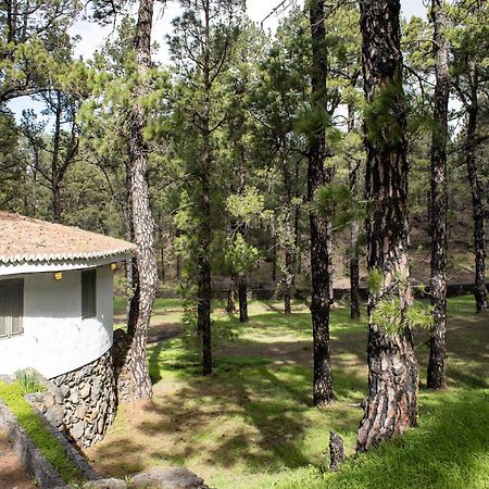 Vivienda Vacacional Finca La Redonda El Paso Exteriér fotografie